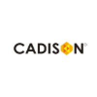 CADISON logo - Similar company to Neilsoft Solutions