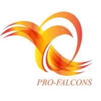 PRO-FALCONS MACHINERY MANUFACTURERS logo - Similar company to Audhe