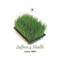 Saffron4Health Pvt. Ltd. logo - Similar company to Kes Shroff College