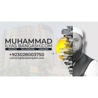 Ilyasbangash.com logo - Similar company to Murtaza And Co