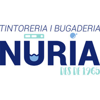 Tintoreria i Bugaderia Nuria logo - Similar company to Bugaderia Nuria Sl