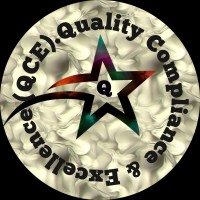 QUALITY COMPLIANCE & EXCELLENCE (QCE) logo - Similar company to 123Pl