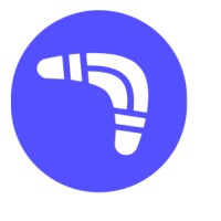 TheBoomerang logo - Similar company to Saas Tech