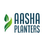 Aasha Planters logo - Similar company to Yuccabeitalia