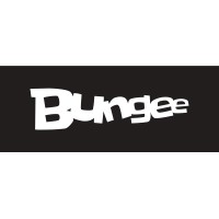 Bungee logo - Similar company to Loterity