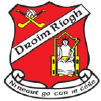 Drumree GAA Club logo - Similar company to Kilcullen Gaa