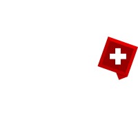 Swisslink - Sistemas Integrados logo - Similar company to Library.Rn