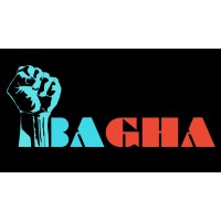 BAGHA News logo - Similar company to Bagha Outsourcing Ltd.