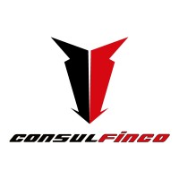 Consulfinco- Auditoría Externa logo - Similar company to Ad Consulting