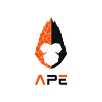 The APE - Branding Agency logo - Similar company to Tráfego Pro - Agência De Marketing Digital