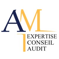 AM Expertise Conseil Audit logo - Similar company to Am Conseil