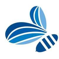 APIS Health Consulting Group logo - Similar company to Devlinx