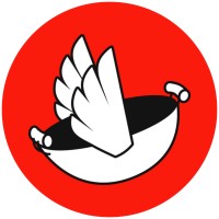 Flying Woks Australia Pty Ltd logo - Similar company to Amplitude Emotions