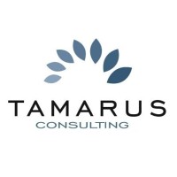 Tamarus Consulting logo - Similar company to Chilli Pepper | Redefining Loyalty
