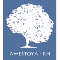 Amestoya-RH S.A.S logo - Similar company to Pilot Groupe