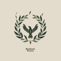 Blackhawk Visions logo - Similar company to Hip Rock Star® Advertising