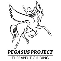 Pegasus Project logo - Similar company to Rod'S House