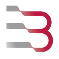 Binomi Consulting logo - Similar company to Tottributs