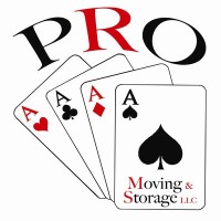 ProACE International logo - Similar company to Invigoratecloud