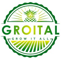 Groital Company Ltd logo - Similar company to Digiits Agency