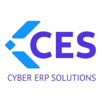 Cyber ERP Solutions logo - Similar company to Riivr Solutions