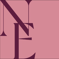 NE Consultancy voor positieve impact logo - Similar company to Sam Welzijn