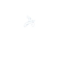 Adwing Network Solutions logo - Similar company to Harait Solution