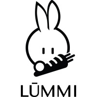 Lūmmi Bunny logo - Similar company to Dining Concepts Pty Ltd
