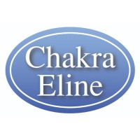 Chakra E Line logo - Similar company to Chakra (A Momenta Company)