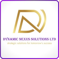 DYNAMIC NEXUS SOLUTIONS LTD logo - Similar company to Terika Financial Services  Limited