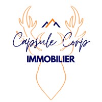 CAPSULE CORP Immo logo - Similar company to Stor7 Technology ™