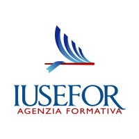 IUSEFOR logo - Similar company to Dolquest Systemic - Empowering Uniqueness In People, Leaders, Teams, And Organizations