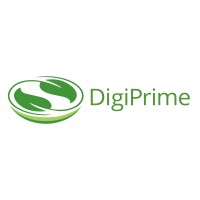 DigiPrime logo - Similar company to Frontsh1P