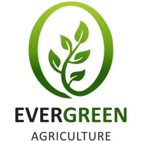 Evergreen Agriculture (Greenhouse & Hydroponic Technology Services) logo - Similar company to Agriculture Innovation Mission For Climate (Aim For Climate)