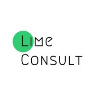 Lime Consulting logo - Similar company to Limeico