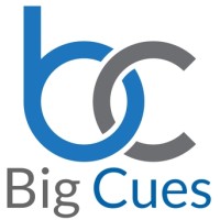 BigCues Technologies logo - Similar company to Sunlight Solutions