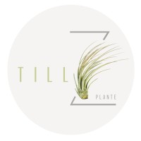 Tillz Plant