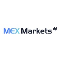 MEX Markets logo - Similar company to Matrix Mex Exchange