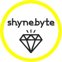 Shynebyte logo - Similar company to Rainer Hughes