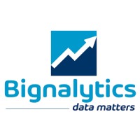 Bignalytics logo - Similar company to Mind Coders