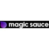 Magic Sauce Online logo - Similar company to Diversity-X