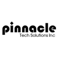 Pinnacle Tech Solutions Inc logo - Similar company to Nesda Technologies Ltd.
