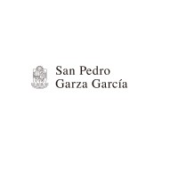 San Pedro Garza García logo - Similar company to Redso