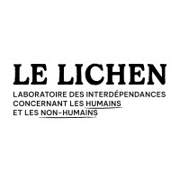 Le Lichen logo - Similar company to Coal