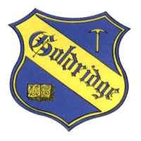 Goldridge Primary School logo - Similar company to Lilfordia School