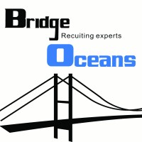 BridgeOceans Consulting logo - Similar company to Seestar 见星咨询