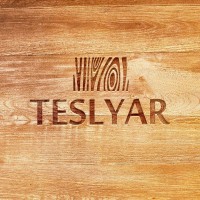 Teslyar logo - Similar company to Loyaltyai