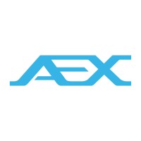 AEX SYSTEM logo - Similar company to Ie Fidelity Group