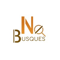 No Busques SpA logo - Similar company to Pont Solutions