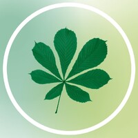 Elisabethstift Berlin logo - Similar company to Barka E. V.